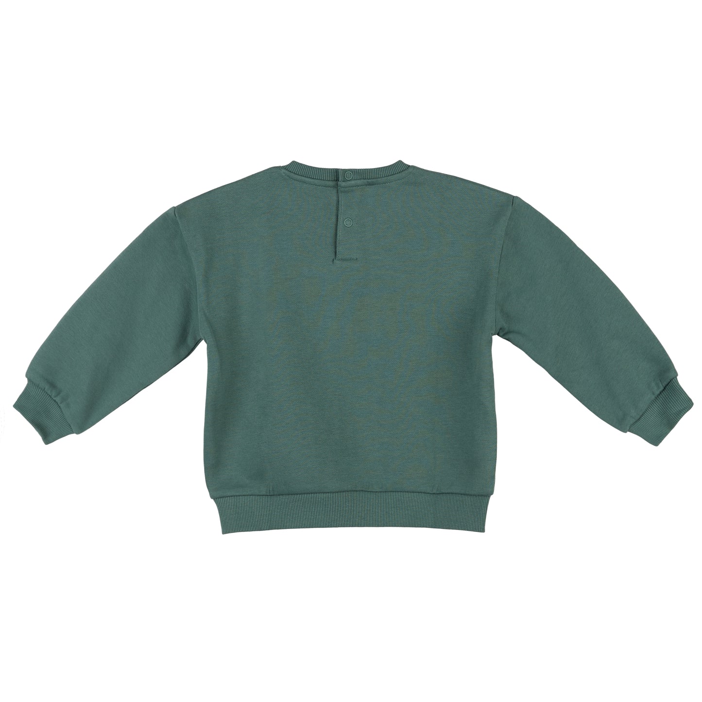 Soft Fleece-Lined Sage Green Sweatshirt – Tape à l’Œil
