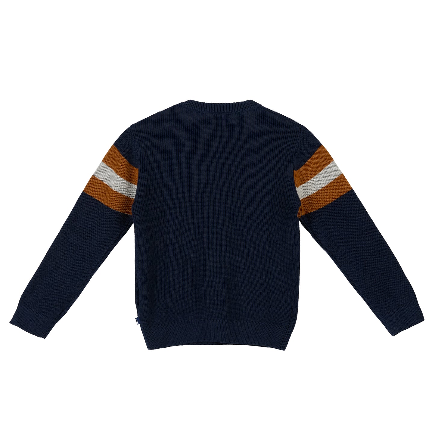 Blue Stripredknit Sweater for Boy